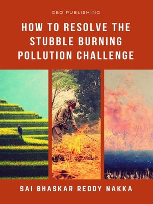 cover image of How to Resolve the Stubble Burning Pollution Challenge